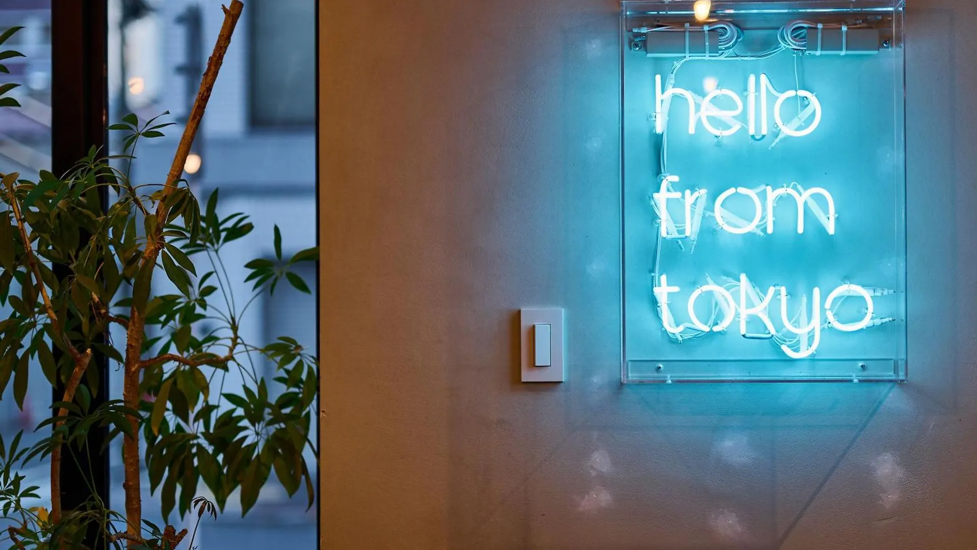 Hotel Plus Hostel Tokyo Akihabara